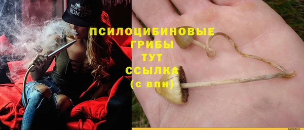 дмт Иннополис