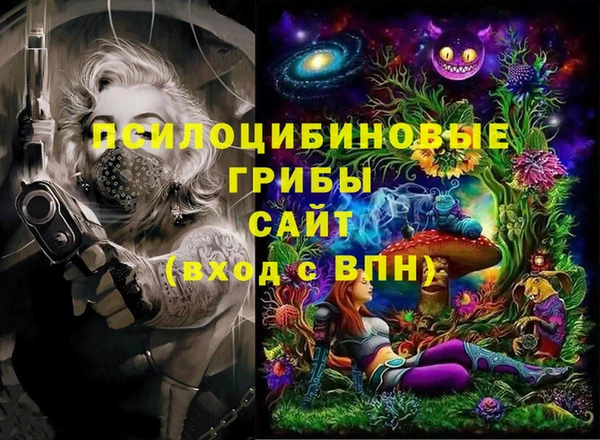 дмт Иннополис
