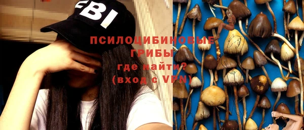 мет Карпинск