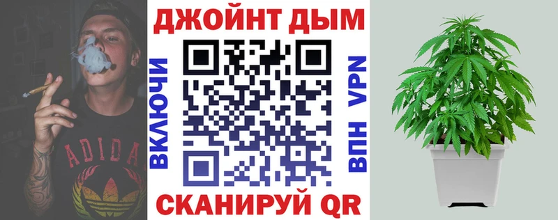 Каннабис SATIVA & INDICA  как найти закладки  Княгинино 